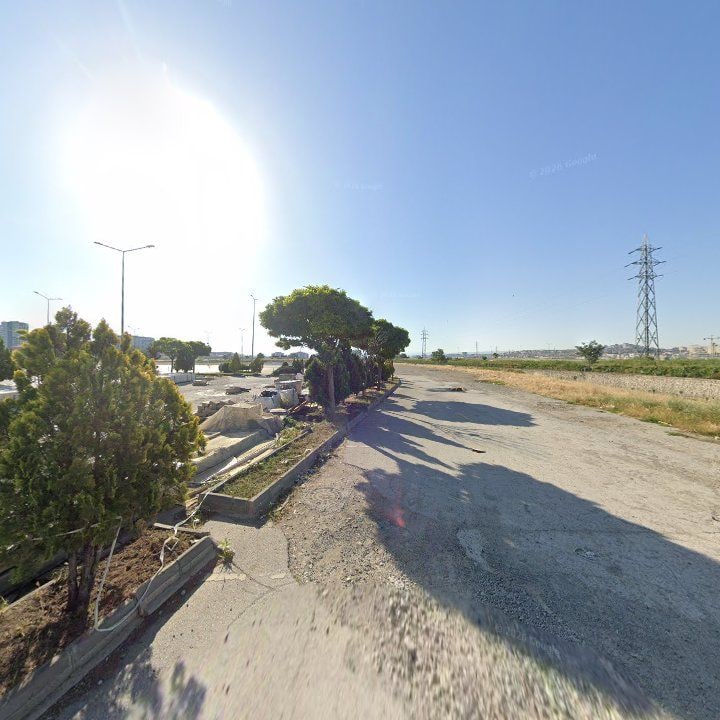 Fotoğraf 8