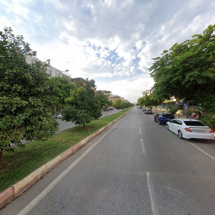 Fotoğraf 9