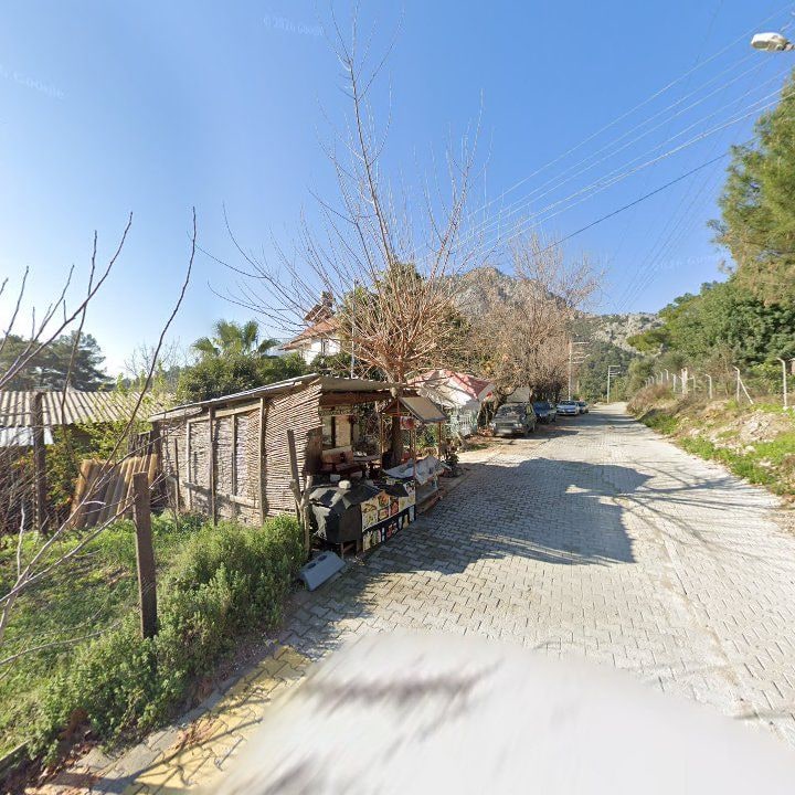 Fotoğraf 10