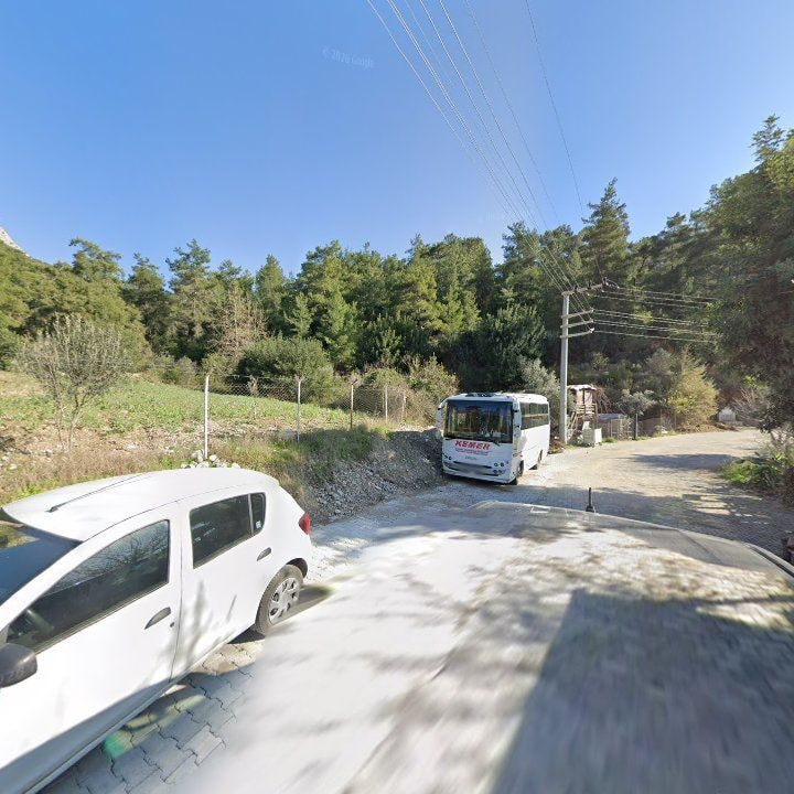 Fotoğraf 12
