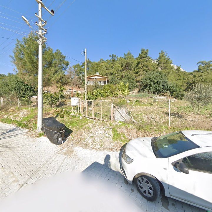 Fotoğraf 11