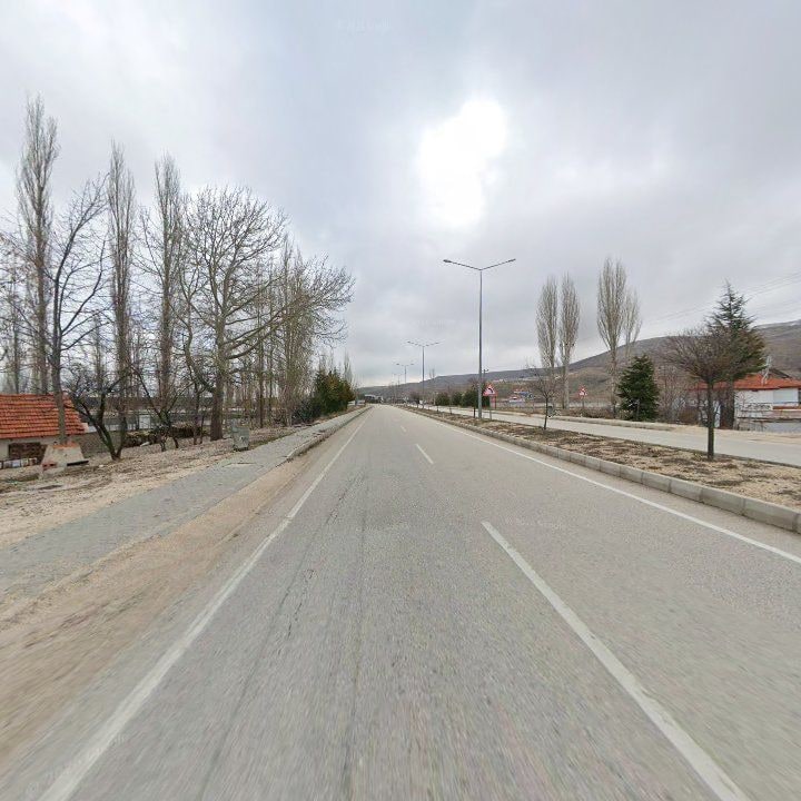 Fotoğraf 11
