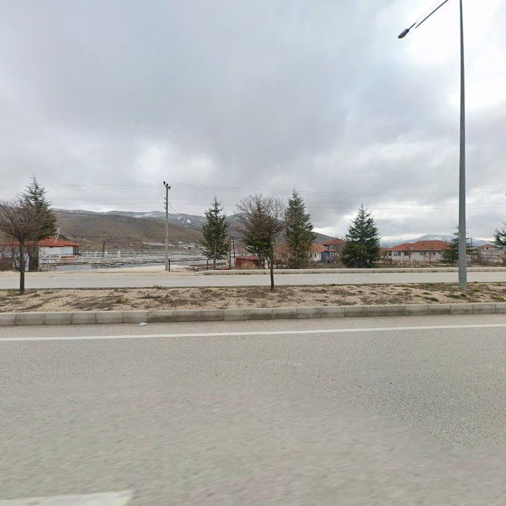 Fotoğraf 12