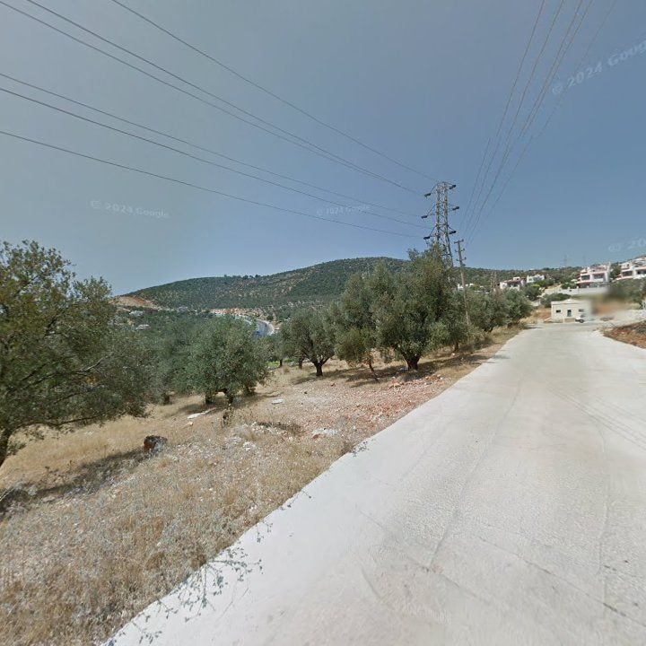 Fotoğraf 12