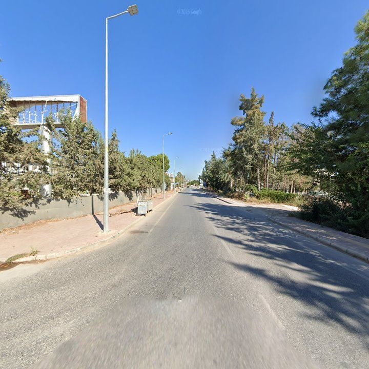 Fotoğraf 11