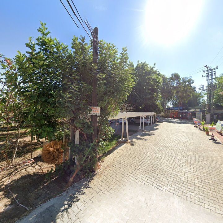 Fotoğraf 14