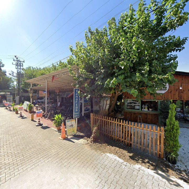 Fotoğraf 11