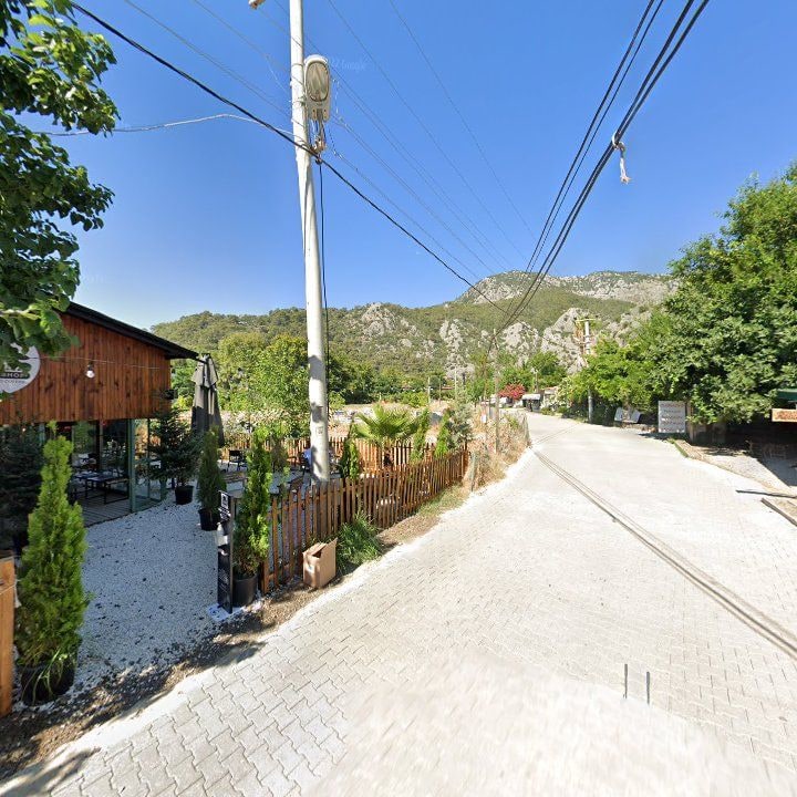 Fotoğraf 12
