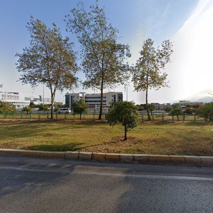 Fotoğraf 11