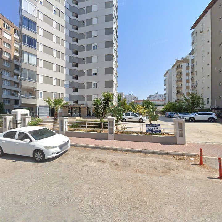 Fotoğraf 12