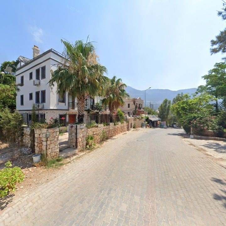 Fotoğraf 11