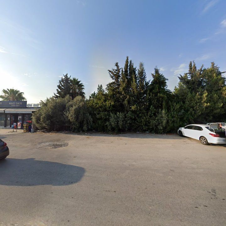 Fotoğraf 7