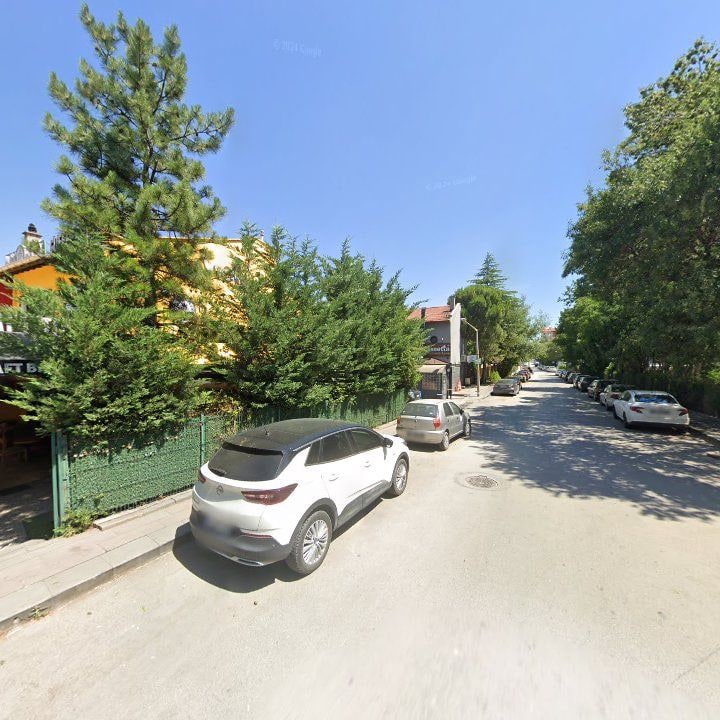 Fotoğraf 14