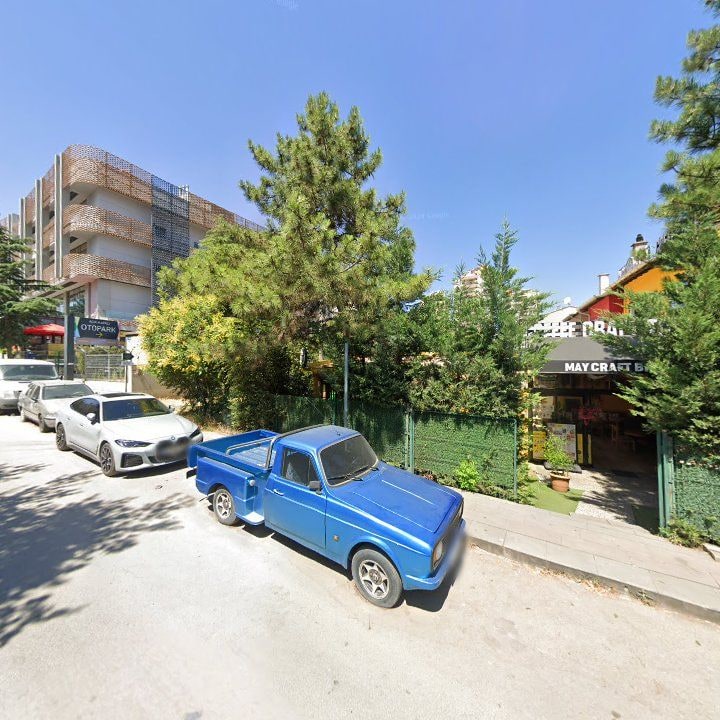 Fotoğraf 13