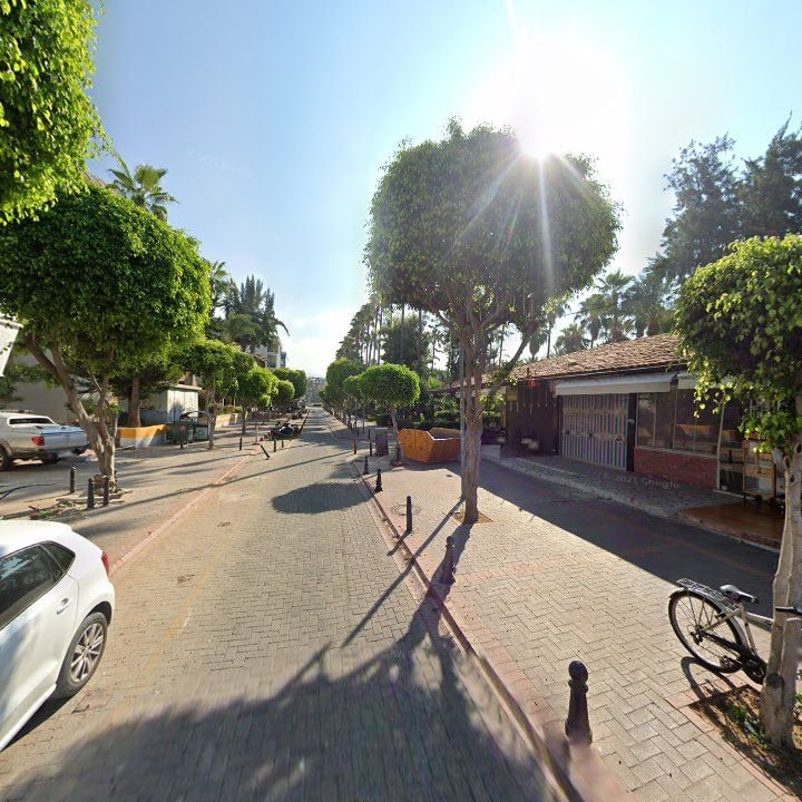 Fotoğraf 10