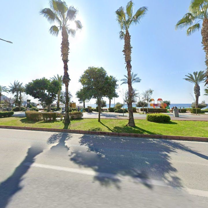 Fotoğraf 12