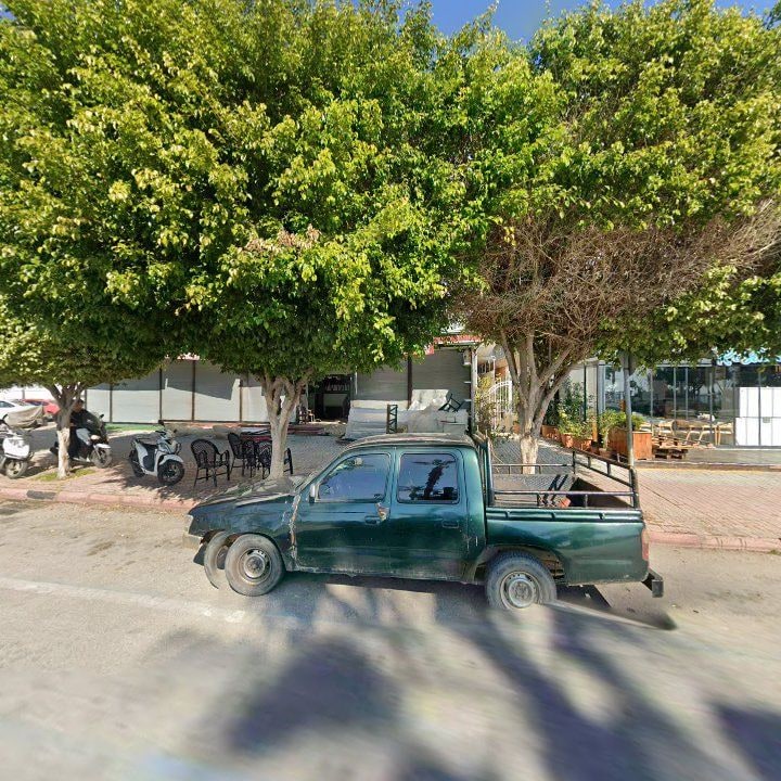 Fotoğraf 10