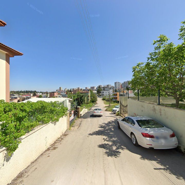 Fotoğraf 8