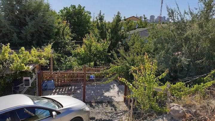 The İbük's Garden