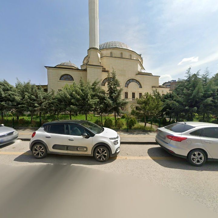 Fotoğraf 11