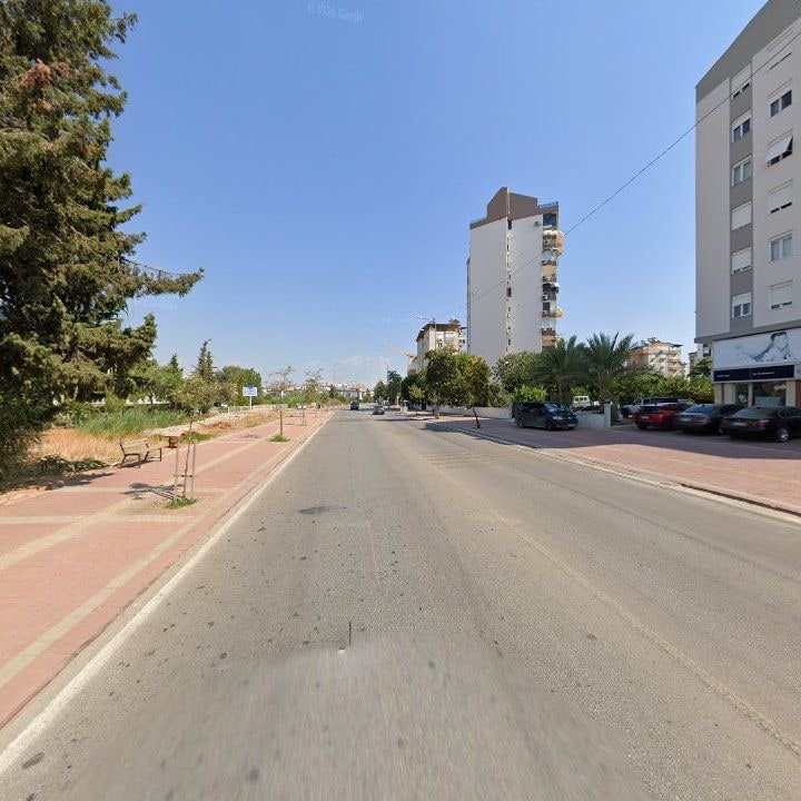 Fotoğraf 11