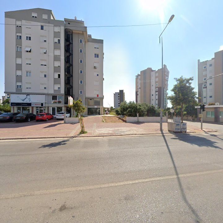Fotoğraf 8