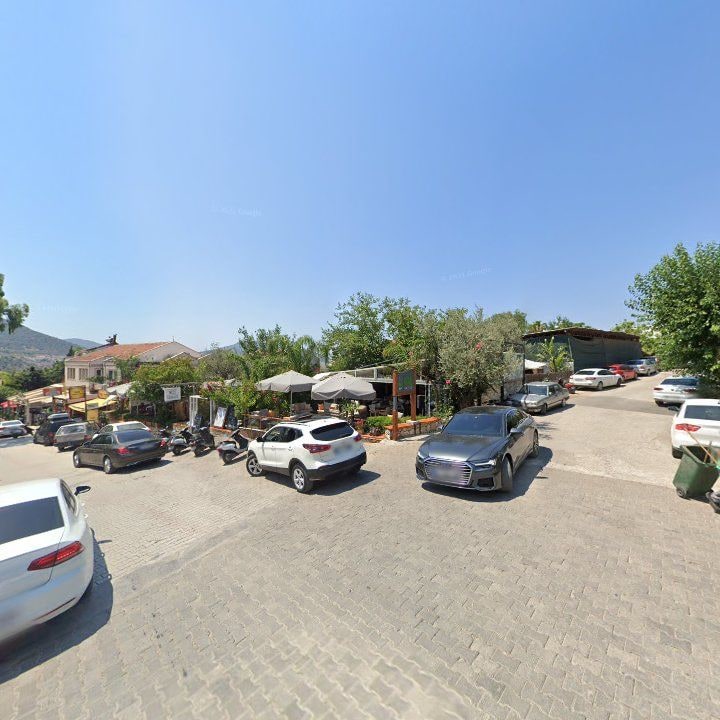 Fotoğraf 8