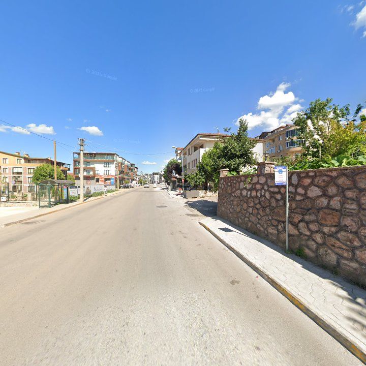 Fotoğraf 11
