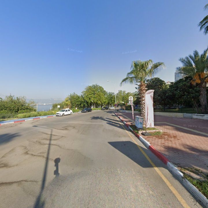 Fotoğraf 11
