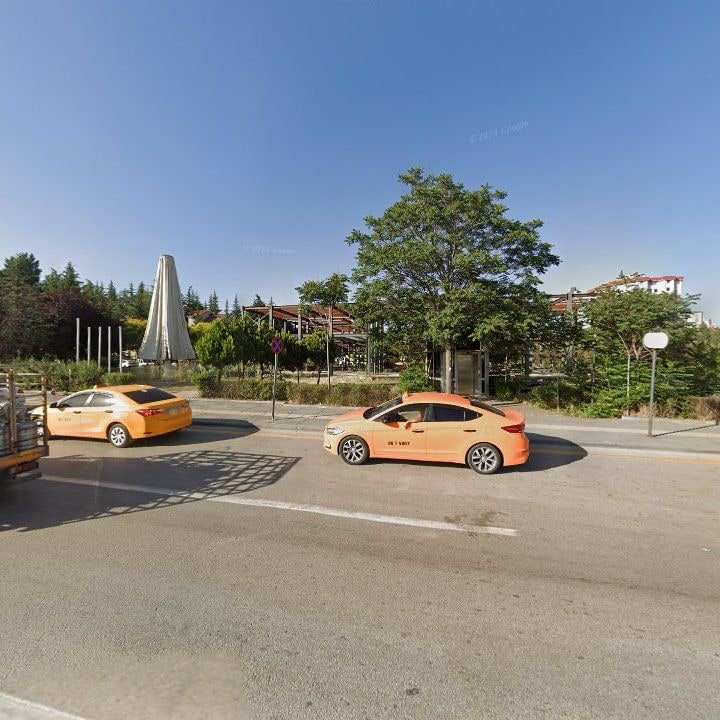 Fotoğraf 11