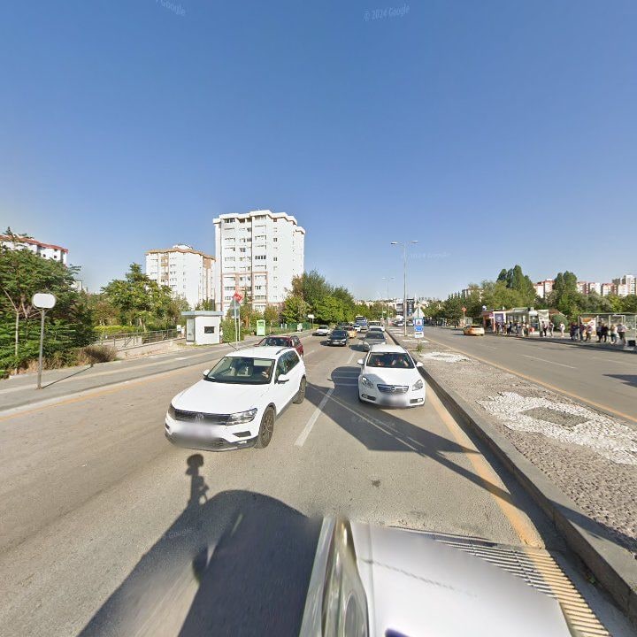 Fotoğraf 12