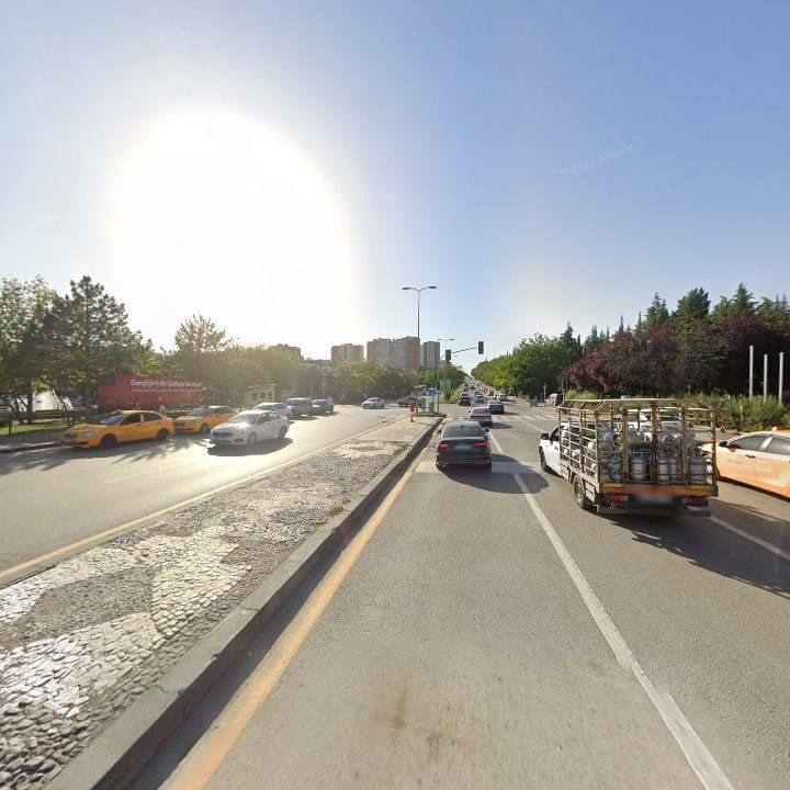Fotoğraf 14