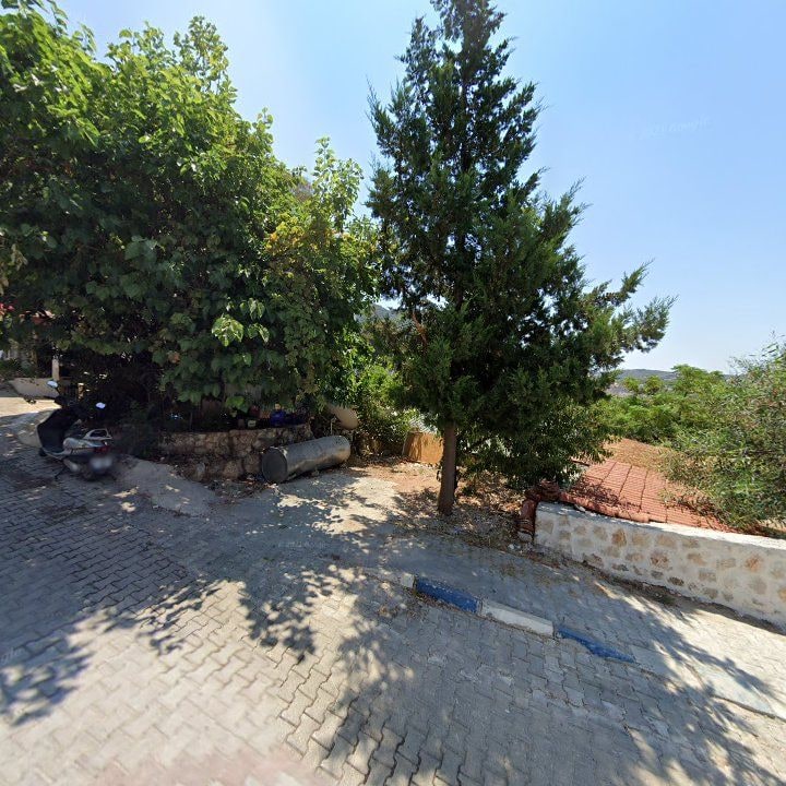 Fotoğraf 7