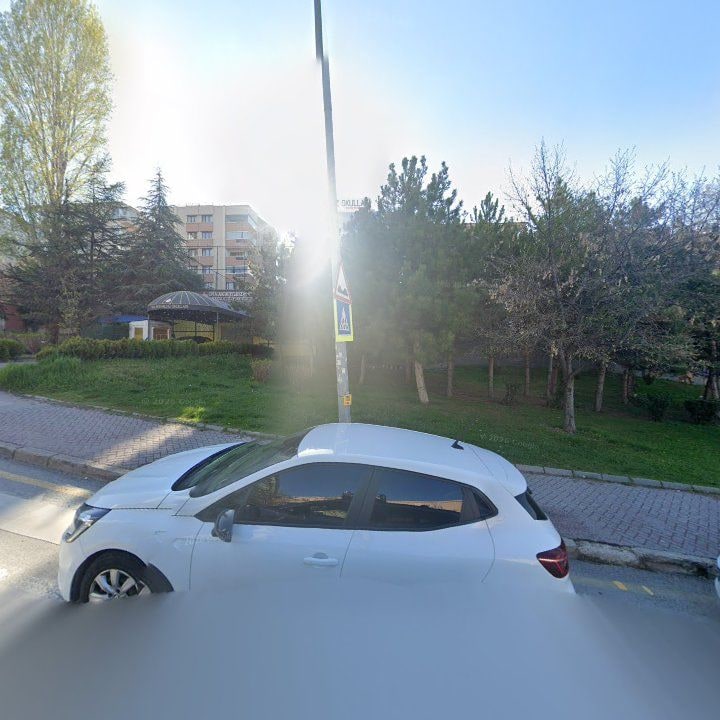 Fotoğraf 8