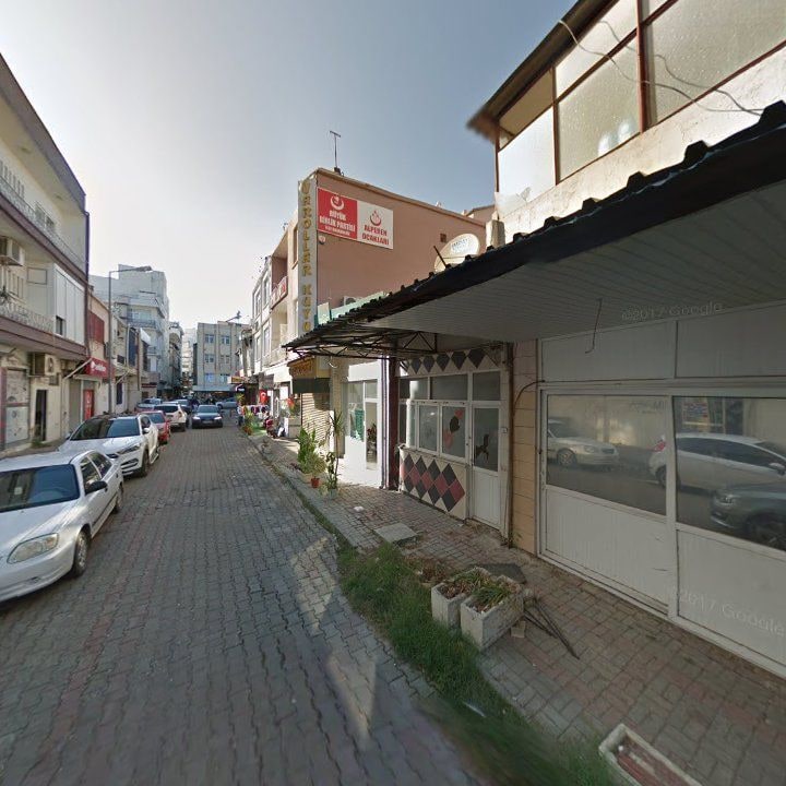 Fotoğraf 11