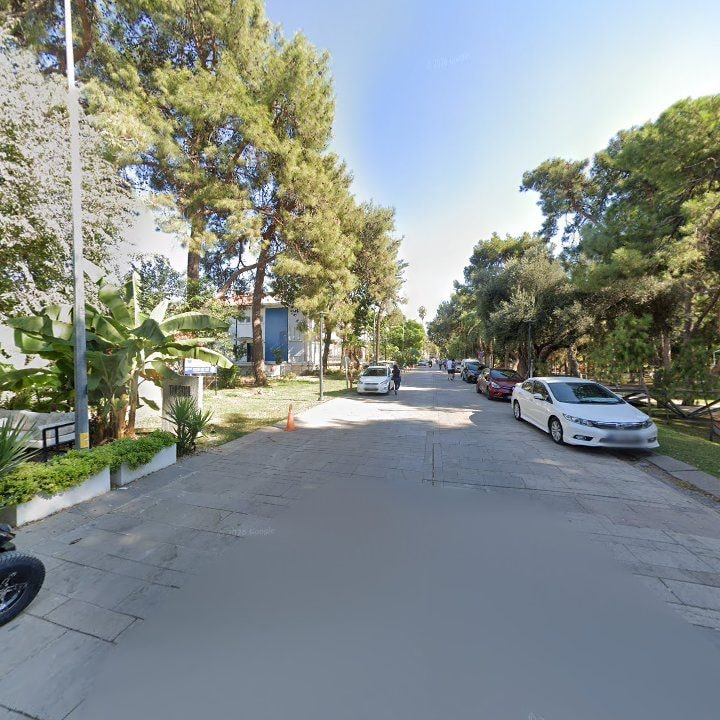 Fotoğraf 10