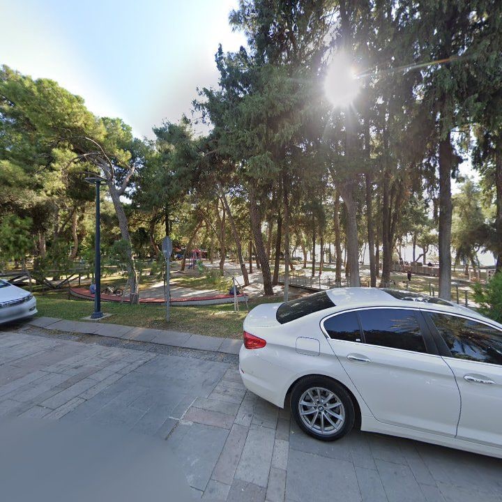 Fotoğraf 11