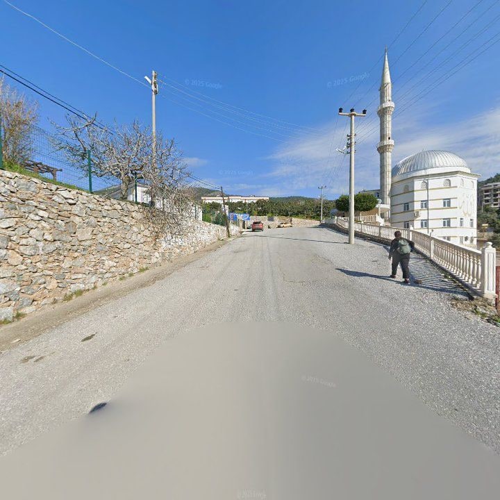 Fotoğraf 10