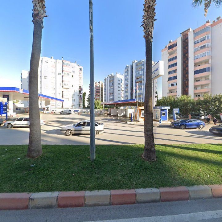 Fotoğraf 8