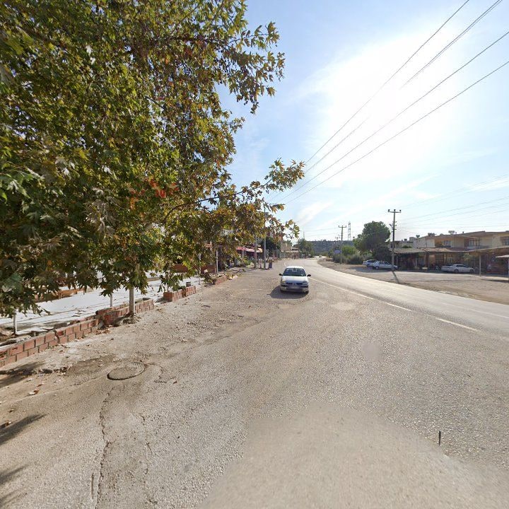 Fotoğraf 8