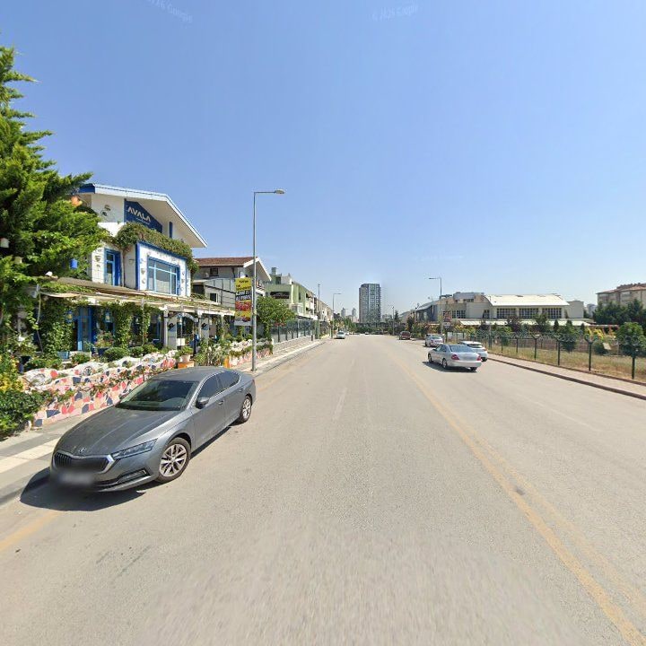 Fotoğraf 8