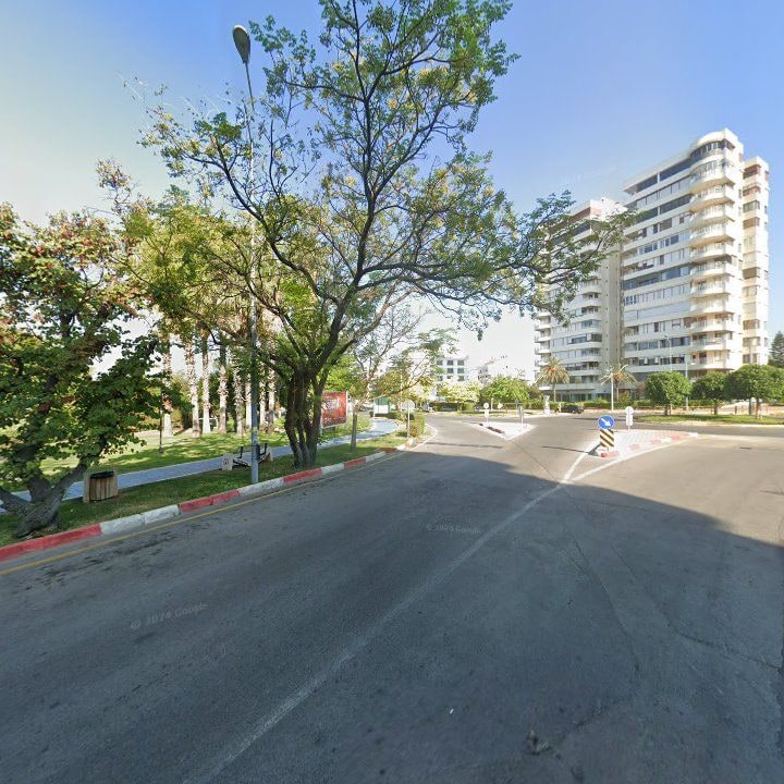 Fotoğraf 12