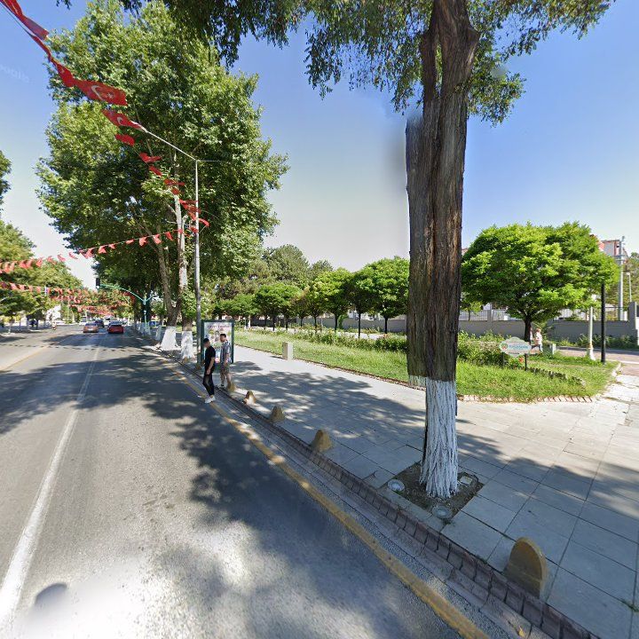 Fotoğraf 11