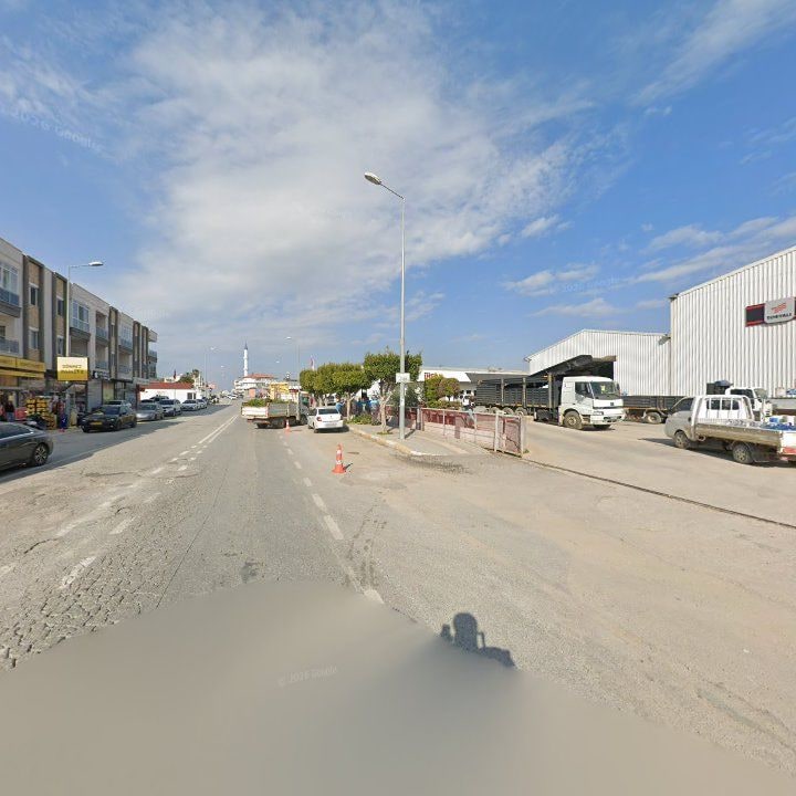 Fotoğraf 8