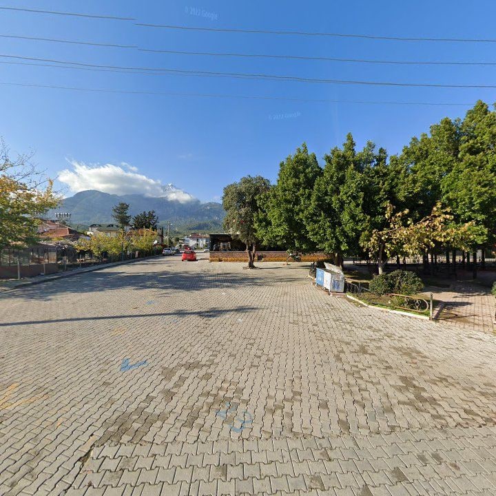 Fotoğraf 3