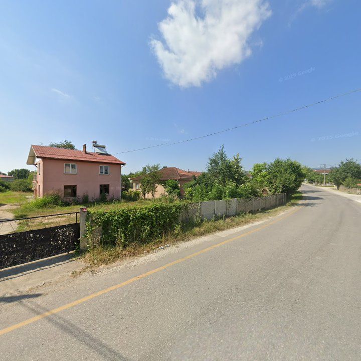 Fotoğraf 7