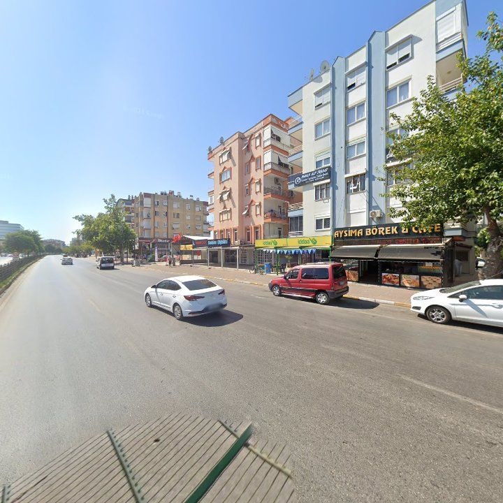 Fotoğraf 12
