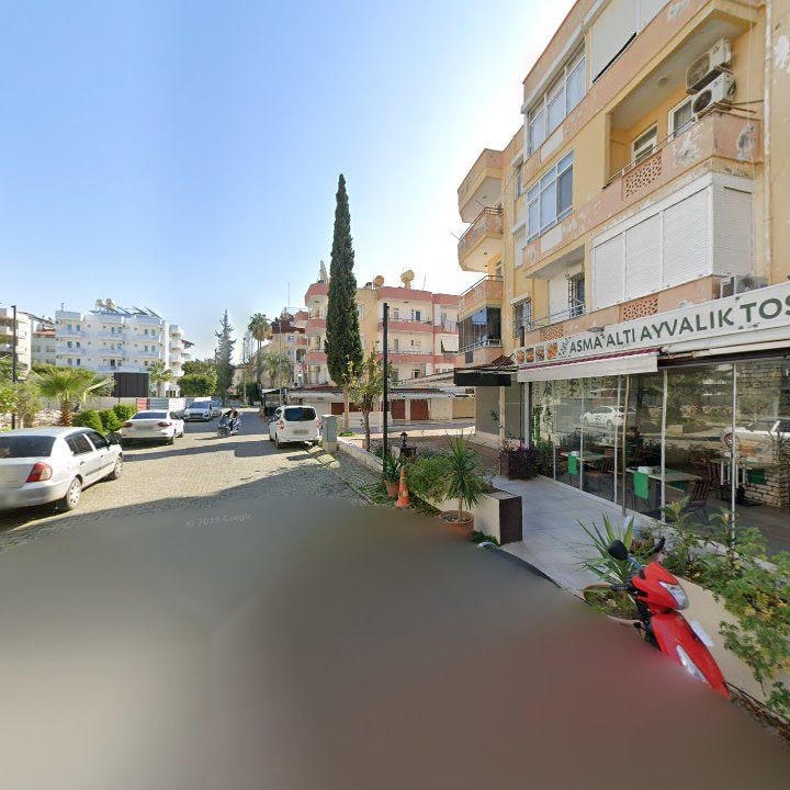 Fotoğraf 8