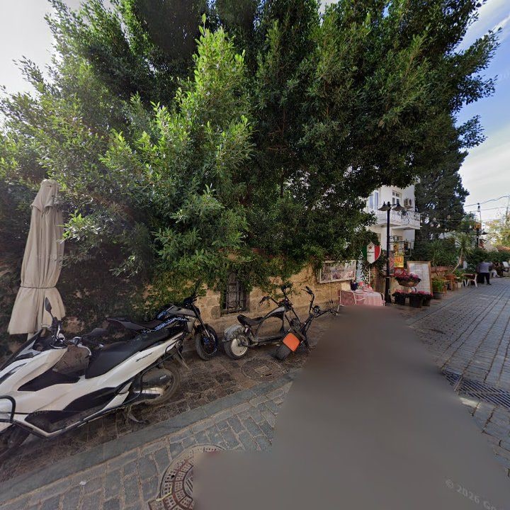 Fotoğraf 14