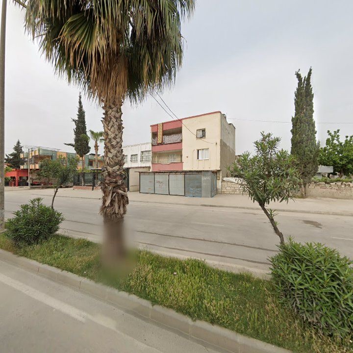 Fotoğraf 6